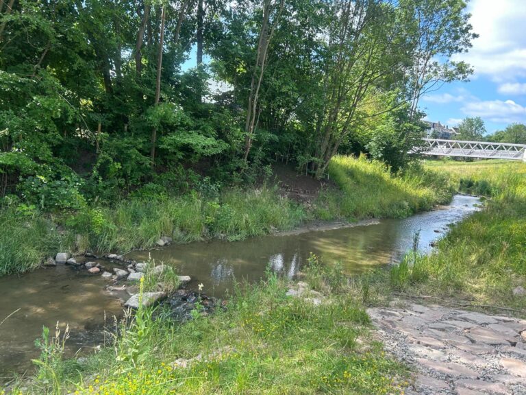 Stadt natürlich entwickeln: naturbasiert – artenreich – klimaangepasst